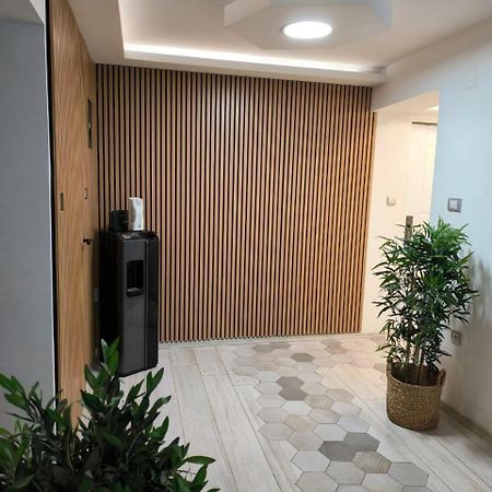 Apartman Tea Nowy Sad Zewnętrze zdjęcie