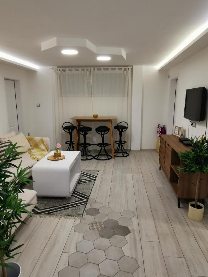 Apartman Tea Nowy Sad Zewnętrze zdjęcie